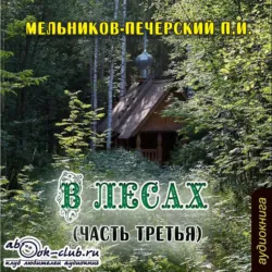 На горах. Часть 2, аудиокнига Павла Ивановича Мельникова-Печерского. ISDN23129051