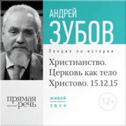 Лекция «Доисторические религии. Человек как homo religiosus», аудиокнига Андрея Зубова. ISDN9010031