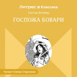 Госпожа Бовари, аудиокнига Гюстава Флобер. ISDN6113355