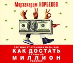 Опыт дурака, или Ключ к прозрению, аудиокнига Мирзакарима Норбекова. ISDN173702