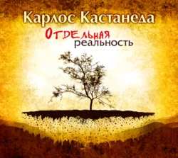 Отдельная реальность Карлос Кастанеда