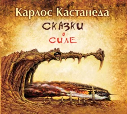 Сказки о силе, Карлос Кастанеда