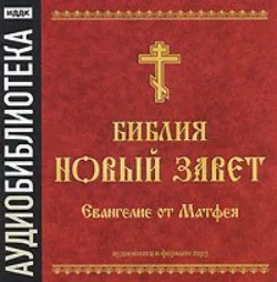 Библия. Новый завет. Евангелие от Матфея - Сборник Библия. Новый завет. Евангелие от Матфея - Сборник