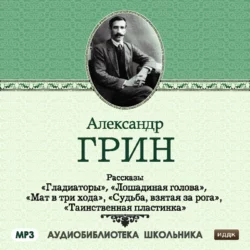 Продавец счастья, аудиокнига Александра Грина. ISDN21998116