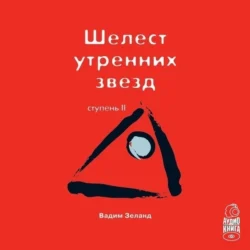 Шестое чувство: защитите себя и близких + Практический курс Трансерфинга за 78 дней, аудиокнига Вадима Зеланда. ISDN70416082