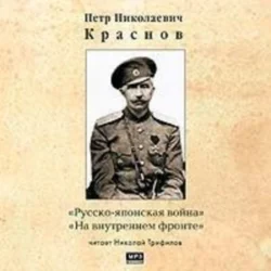 Русско – японская война. На внутреннем фронте, аудиокнига Петра Краснова. ISDN179432