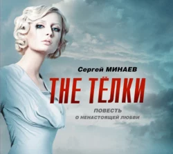 The Телки. Повесть о ненастоящей любви Сергей Минаев