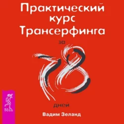 Шестое чувство: защитите себя и близких + Практический курс Трансерфинга за 78 дней, аудиокнига Вадима Зеланда. ISDN70416082