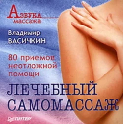 Лечебный самомассаж: 80 приемов неотложной помощи - Владимир Васичкин Лечебный самомассаж: 80 приемов неотложной помощи - Владимир Васичкин