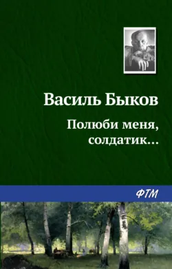 Полюби меня, солдатик… - Василий Быков