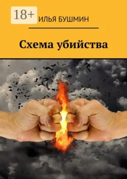 Схема убийства, Илья Бушмин