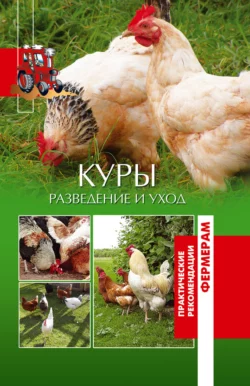 40 трав, необходимых в каждом доме, аудиокнига . ISDN447735