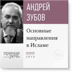 Лекция «Основные направления в Исламе», аудиокнига Андрея Зубова. ISDN19195539