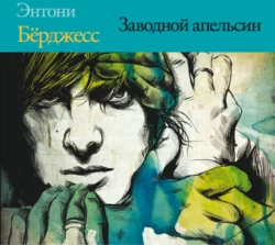 Заводной апельсин, аудиокнига Энтони Берджесса. ISDN19271811