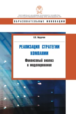 Реализация стратегии компании. Финансовый анализ и моделирование - Вячеслав Неудачин