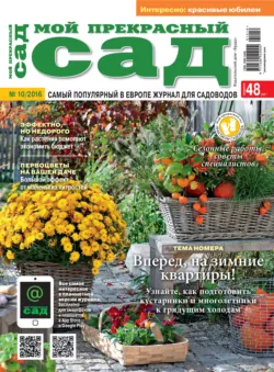 Мой прекрасный сад №10/2016 - ИД «Бурда»