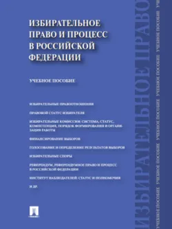 Избирательное право и процесс в Российской Федерации. Учебное пособие - Дмитрий Белявский