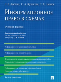 Информационное право в схемах. Учебное пособие - Роман Амелин