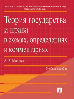 Теория государства и права в схемах, определениях и комментариях. Учебное пособие - Александр Малько