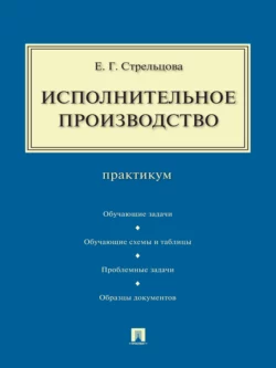 Исполнительное производство. Практикум, Елена Стрельцова