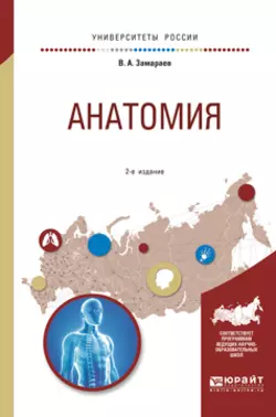 Анатомия 2-е изд., испр. и доп. Учебное пособие для СПО, аудиокнига Виктора Алексеевича Замараева. ISDN22484251