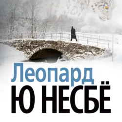 Леопард - Ю Несбё