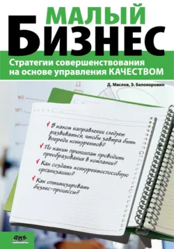 Малый бизнес. Стратегии совершенствования на основе управления качеством - Эрнест Белокоровин