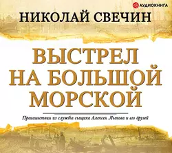 Выстрел на Большой Морской - Николай Свечин Выстрел на Большой Морской - Николай Свечин