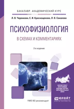 Психофизиология. Развитие учения о мозге и поведении 2-е изд., испр. и доп. Учебное пособие для академического бакалавриата, аудиокнига Людмилы Владимировны Соколовой. ISDN23137090