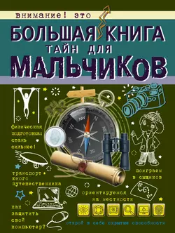 Большая книга тайн для мальчиков, Светлана Пирожник