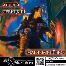 Магический Вор - Андрей Левицкий