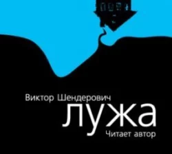 Лужа - Виктор Шендерович