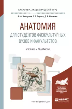 Анатомия 2-е изд., испр. и доп. Учебное пособие для СПО, аудиокнига Виктора Алексеевича Замараева. ISDN22484251