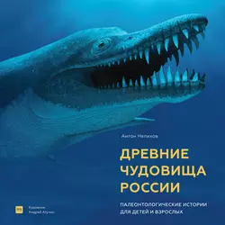 Мифы окаменелостей. От костей великанов и пальцев водяных до зубов дракона и стрел с неба, аудиокнига . ISDN72042775