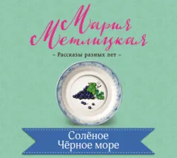 Соленое Черное море, аудиокнига Марии Метлицкой. ISDN23588843