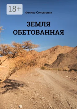 Земля обетованная, Феликс Соломоник