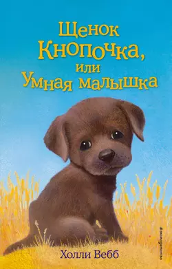 Летний дельфин, аудиокнига . ISDN73942492