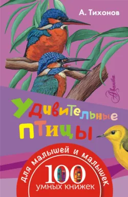 Удивительные птицы - Александр Тихонов