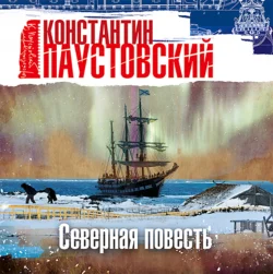 Сказки про зверей, аудиокнига К. Г. Паустовского. ISDN65653326