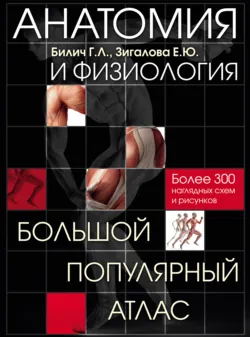 Тарногский говор. Памятники русского диалектного слова, аудиокнига . ISDN74352281