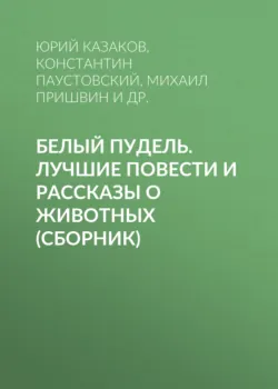 Русский Север. Красота края в рассказах писателей, аудиокнига . ISDN71465374