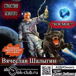 Космос!, аудиокнига Вячеслава Шалыгина. ISDN24779082