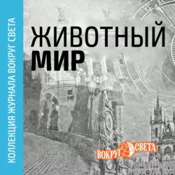 Животный мир - Вокруг света