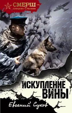 Искупление вины, Евгений Сухов