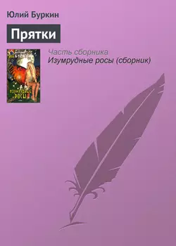 Прятки - Юлий Буркин