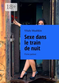 Sex im Nachtzug. Überall Porno,  аудиокнига. ISDN26713766