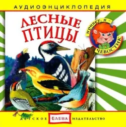 Лесные птицы - Сборник