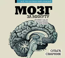 Мозг за минуту - Ольга Сварник Мозг за минуту - Ольга Сварник