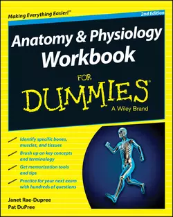 Anatomy and Physiology Workbook For Dummies, Janet  Rae-Dupree аудиокнига. ISDN28268214