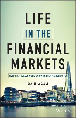 Life in the Financial Markets. How They Really Work And Why They Matter To You, Daniel  Lacalle аудиокнига. ISDN28273722